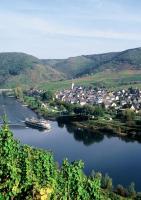 Moselwinzerhaus - B&B Bruttig-Fankel
