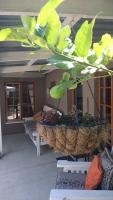 Convent Hill Lodge - B&B