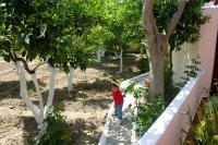 Hariklia Rent Rooms - Ferienwohnung Zarós