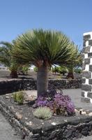 Casa Rural Finca Isabel - B&B Mozaga