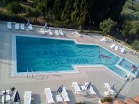 Ζante Dolphin - B&B Alykes