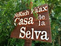 Jungle Lodge CANCUN AEROPUERTO - B&B