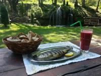 Gradačka Banja brvnare - B&B Gradac