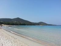 T2 de 45 m2 sur Porticcio avec Jardin - B&B Porticcio