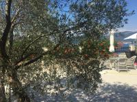 Apartment - Erdgeschoss