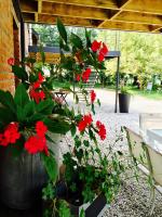 La Niche - B&B Richebourg