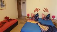 Estudio con terraza