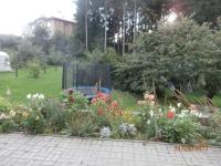 Apartman Aya - B&B
