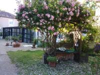 B&B Chabournay - la Rosaliere - Bed and Breakfast Chabournay
