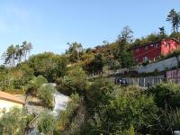 I Gelsi e i Castagni - B&B Polverara