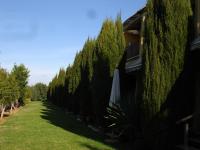 A country house near the beach - Bed and Breakfast