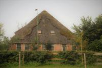 B&B Castricum - Sterrenhoeve - Bed and Breakfast Castricum