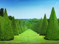 Le Petit Neptune - Ferienwohnung Versailles