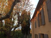 le Mas des Pignes -adults only - B&B Aix-en-Provence