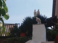 La Pennichella - Bed and Breakfast Agerola