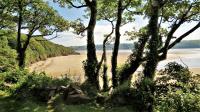 Corner Cwtch - Bed and Breakfast