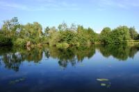 Chambre d'hotes Le Hamel - B&B Le Hamel