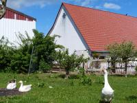 Die Gefährten - B&B