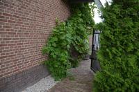 Gastenverblijf Volkel - Ferienwohnung Volkel