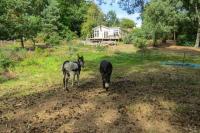 The Retreat, Unique property located in calming woodland surroundings, Close to Aldeburgh and Thorpeness - B&B Leiston