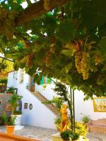B&B Il Grappolo - B&B Anacapri
