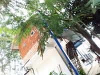 Will Guest Homestay - B&B Ella Town