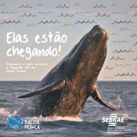 Pousada do Véio - Ferienwohnung Garopaba