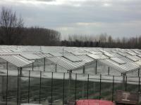 Juwel Fruithof - Bed and Breakfast Zepperen