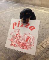 BUEHLERHOF Urlaub mit Kind & Hund, Obst-& Weingut, Brixen - B&B Rasa