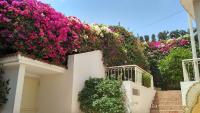 B&B Agadir - Villa Agadir Quartier Charaf - Bed and Breakfast Agadir