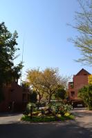 Alendo Apartments - B&B Johannesburgo