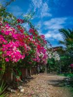 Chambre Double avec Balcon