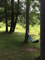 The Landing on Shavers - Bed and Breakfast Elkins