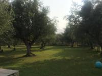 Anastasios Olive Garden Apartments - B&B Petalídi