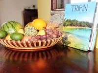 Fort Edge Retreat - B&B Unawatuna