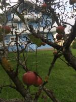 Pension Lipusch - B&B Sankt Veit im Jauntal