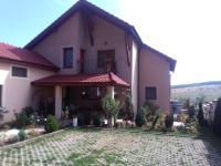 Casa Doina - Bed and Breakfast Băile Felix