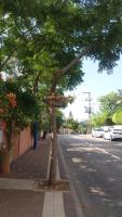 Barud Gedera Israel - Bed and Breakfast
