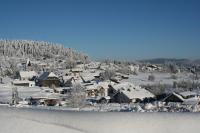 Pension Philippsreut "Zum Pfenniggeiger" Am Goldsteigwanderweg - B&B Philippsreut