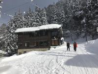 Kamoshika Ski Lodge - B&B Toyosato