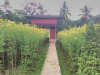 One-Bedroom Bungalow