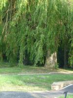 Résidence Cosyade équipée d'un parking privé gratuit - B&B Bourbourg