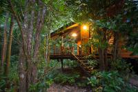 Wildwood Cabin 1