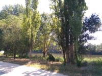 Zamora Apartments - B&B