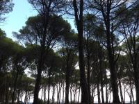 Cavalli di S'Arcaite - Ferienwohnung Santa Lucia