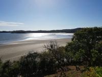 Sand Dollar Villa - B&B