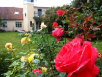 Fiskargränd 5 - B&B Visby