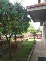 Apartment Bojke - B&B Niš