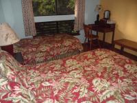 Standard Twin Room with Garden View
