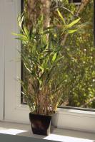 ! PROMO! Central Evergreen Studio - Free Public Parking-Fast WI-FI - Chambres d’hôtes Novi Sad